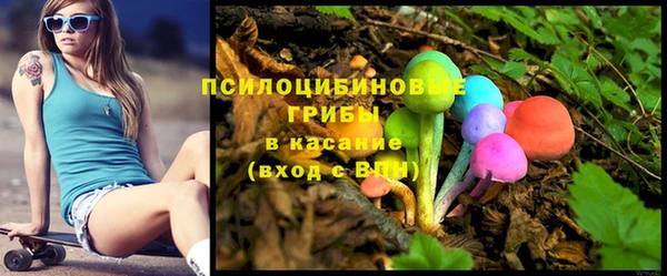 герыч Верхний Тагил