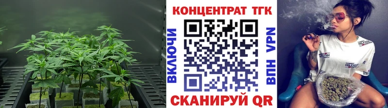 blacksprut ссылки  Грозный  Дистиллят ТГК концентрат 