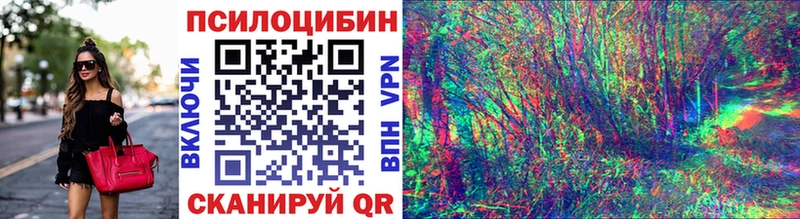 Псилоцибиновые грибы Cubensis  где купить наркоту  Грозный 